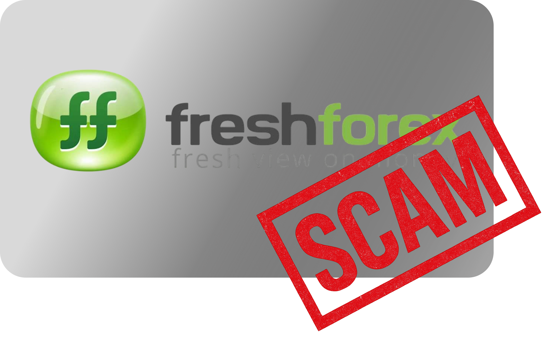 image-FreshForex-SCAM